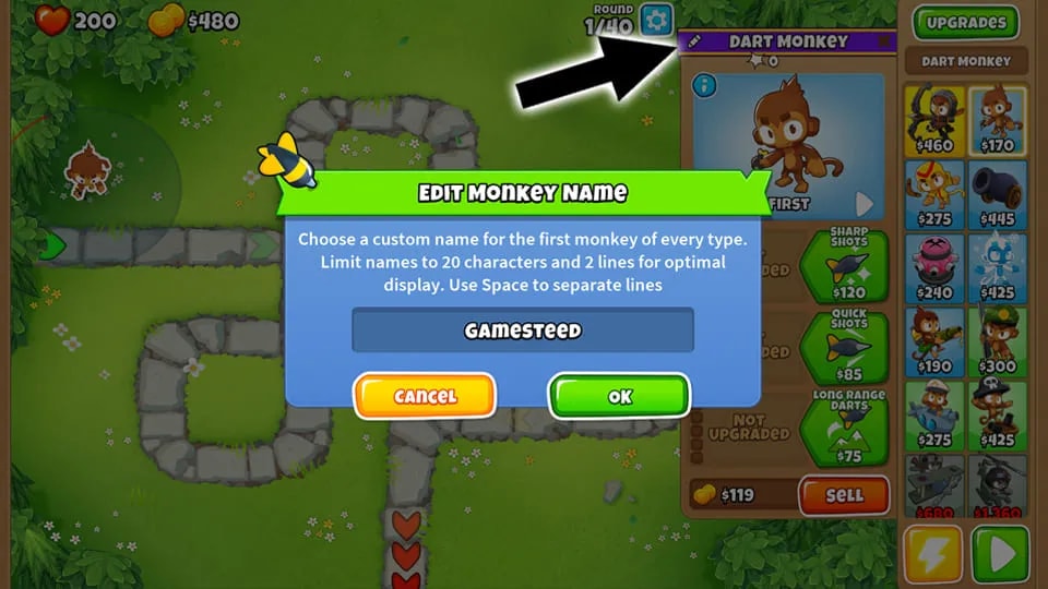 An monkey renaming menu opened inside of the game BTD6, short for Bloons Tower Defense 6