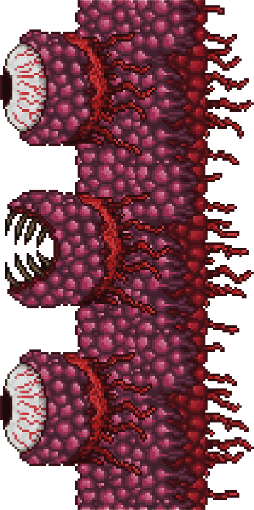 The image features the Wall of Flesh from Terraria, a massive pixelated vertical boss made up of grotesque, fleshy segments with large, glaring eyes and gaping, tooth-filled mouths along its surface